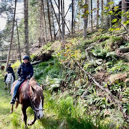 Scottish Equi B&B Lanark Zewnętrze zdjęcie